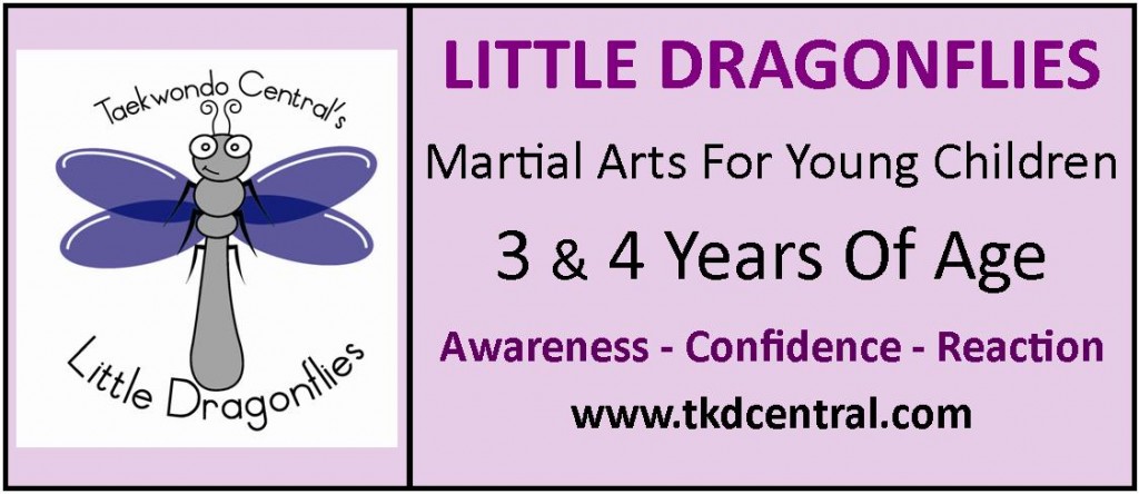 Little Dragonflies Sign - Logo