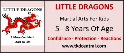 Little Dragons Sign - Logo